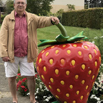 photo_miniature