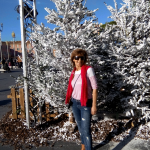 photo_miniature