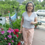 photo_miniature