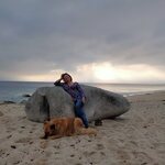 photo_miniature