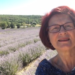 photo_miniature
