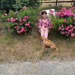 photo_miniature